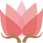 开yun体育app官网网页登录入口(官方)APP下载IOS/Android通用版/手机appV6.57.1.68-绿色资源网